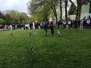 Zayferus v Ostravě